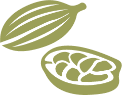 Cardamom
