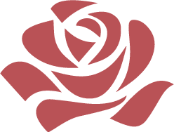 Rose Petals