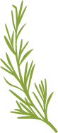 Thyme