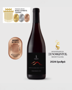 2024 Ξενοφώντος Ερυθρό